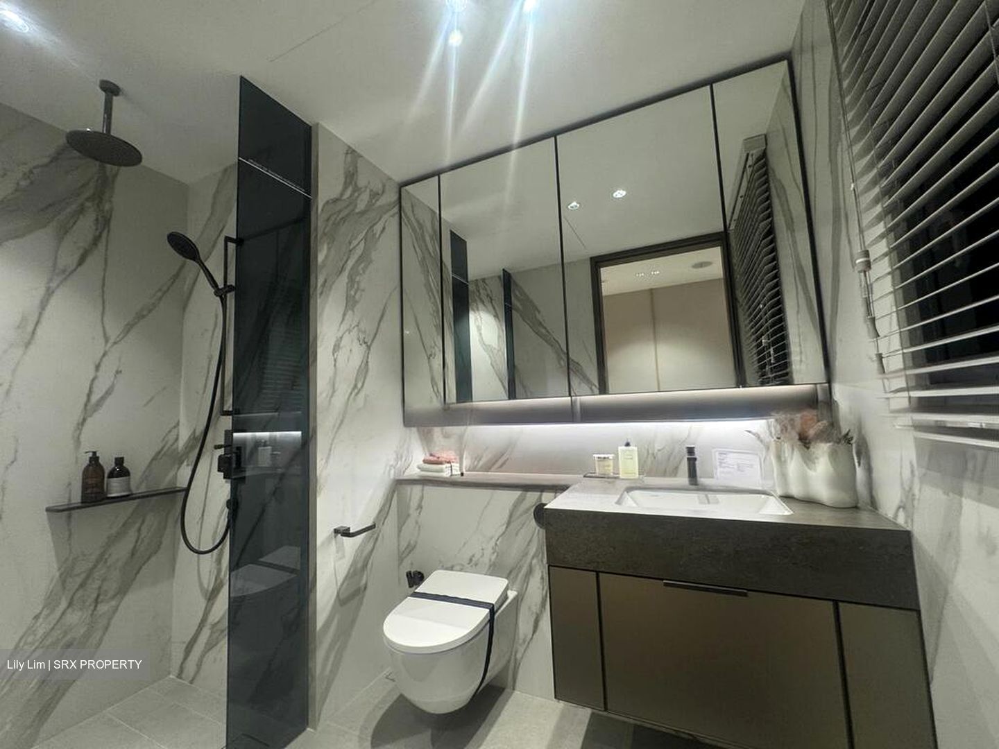 Zion Road (D3), Condominium #465634431